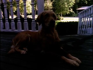 Goosebumps S02E13 Let's Get Invisible