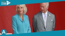 Charles III et Camilla Parker Bowles adressent un message aux Français après leur visite d’Etat en F