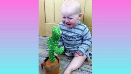 Cute Babies and the Dancing Cactus 