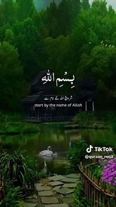 #quran #عبدالرحمن_مسعد