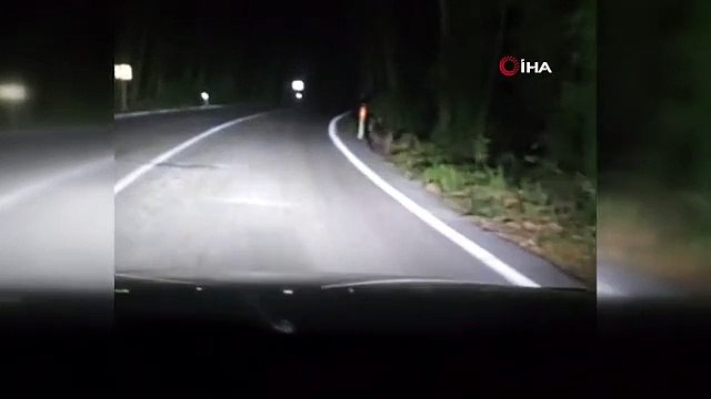 Sürücü, aracıyla önüne çıkan ayıyı kovaladı