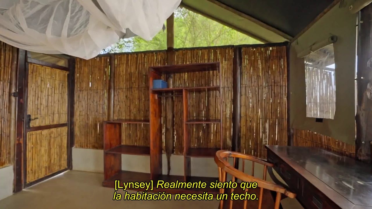 Renovación Salvaje