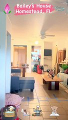 How To Cleaning a Bailey’s House Homestead, FL a After 2023