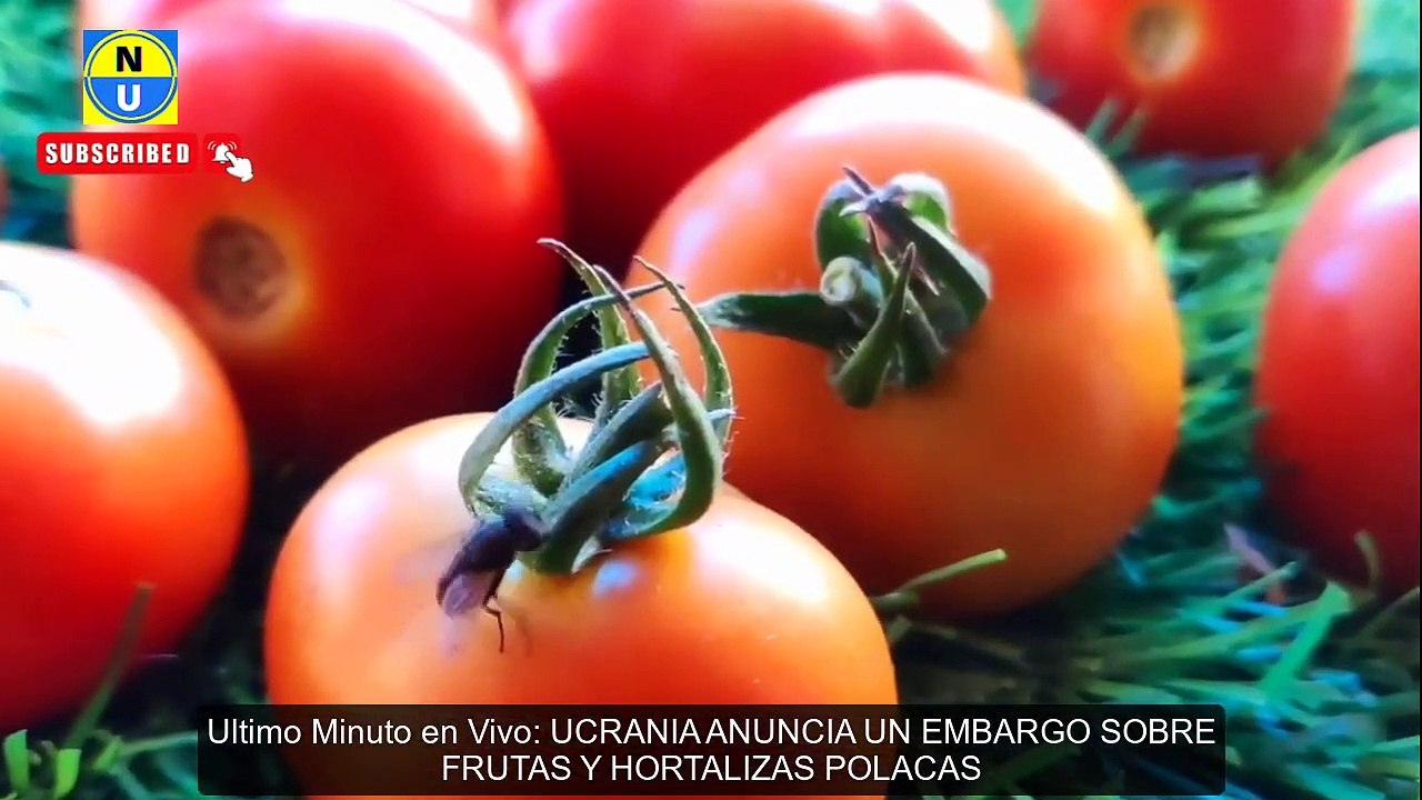  ¡URGENTE! Rusia BOMBARDEO Fábrica POLACA en Medio de Guerra Ucrania ⚡️ En Ultima Hora hoy En Vivo