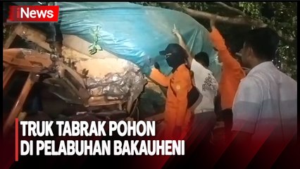 Diduga Rem Blong, Truk Tabrak Pohon di Pelabuhan Bakauheni