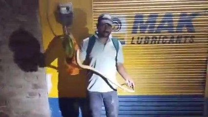 उदयपुर: घर के बाहर निकला 6 फीट लम्बा सांप, फिर जो हुआ, देखिए रेस्क्यू ऑपरेशन