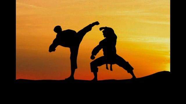 5. Uechi-Ryū Karate