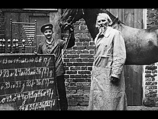 Connaissez-vous l’histoire d’Hans le malin, le cheval qui savait compter ?