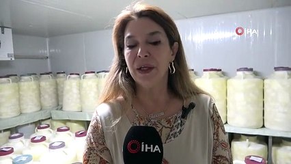 Van'ın dağlarından toplanan endemik bitkiler ile otlu peynire yeni tatlar katıyor