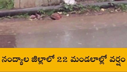 నంద్యాల జిల్లా: 22 మండలాల్లో వర్షం... అత్యధికం అక్కడే..!