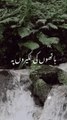 Deep lines ❤️ Urdu poetry || Urdu shayari