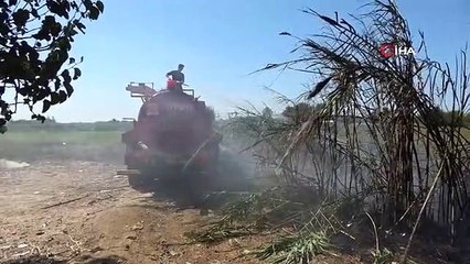 Manavgat'ta çıkan yangın su tankeri sayesinde söndürüldü