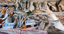 Av yasağı kalktı: Balık fiyatları yüzde 80 düştü