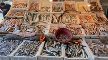 Akdeniz’de av yasağı kalktı, balık fiyatları yüzde 80 düştü