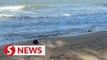 Body of unknown woman found on Melaka beach