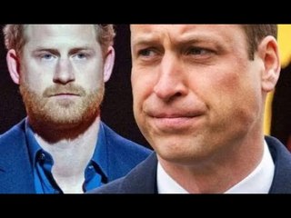Identificato il punto di svolta della relazione tra Harry e William: "È diventato balistico"