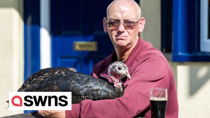 Turkey owner goes everywhere with his inseparable companion - even to the pub and the dentist