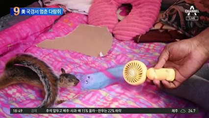 4천800㎞ 동행한 ‘다람쥐’와 생이별 앞둔 남성
