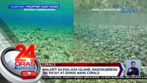 Sandy Cay 2 malapit sa Pag-Asa Island, nadiskubreng tinambakan ng patay at durog nang corals | 24 Oras Weekend