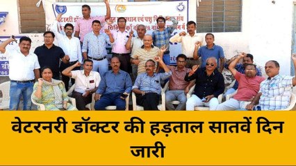 बीकानेर: पशु चिकित्सकों की हड़ताल जारी, नहीं बनी बात, आखिर कहा अटकी ?