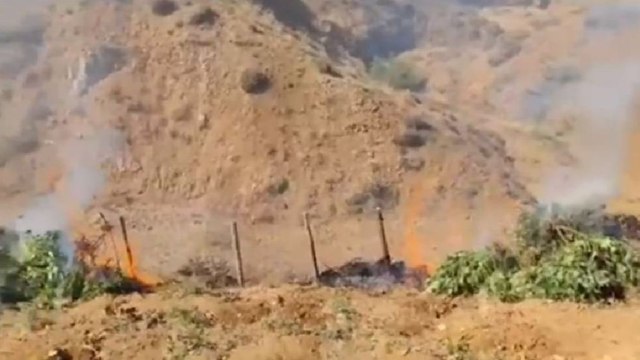 Bingöl’de milyonlarca kök hint keneviri ele geçirildi