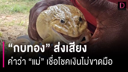 ฮือฮา "กบทอง" ส่งร้องเสียงคำว่า "แม่" เชื่อมาให้โชคเงินไม่ขาดมือ | HOTSHOT เดลินิวส์ 24/09/66