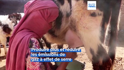 L'élevage durable : trois jours pour trouver des solutions