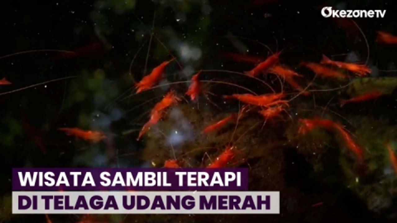 Menjelajah Keindahan Alam Eksotis Sambil Terapi Kesehatan di Telaga Udang Merah