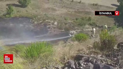 İstanbul'da ağaçlık alanda çıkan yangın söndürüldü