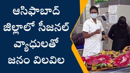 ఆసిఫాబాద్: జిల్లాలో సీజనల్ వ్యాధులతో జనం విలవిల