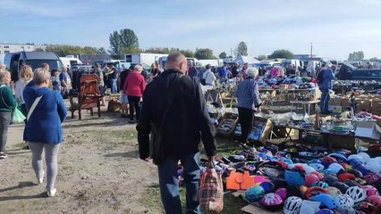 Pchli Targ Włocławek - 24 września 2023