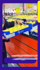 طرد دنيا بطمة من تقديم المساعدات في المغرب