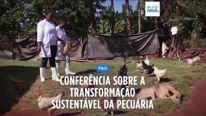 FAO realiza primeira Conferência Mundial sobre a Transformação Sustentável da Pecuária