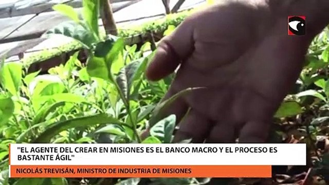 Destacan que las empresas misioneras tienen acceso al crédito a través del programa crear y programas provinciales