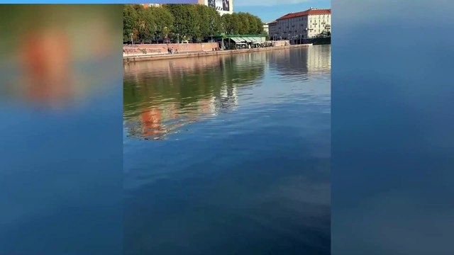 The Kolors in concerto sui Navigli, ma il battello rischia di affondare