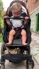 Kitty Plays With Baby in Stroller