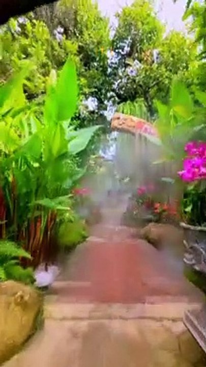 Garden of Eden, Lalitta Café, Chiang Rai, Thailand