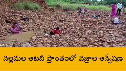 నంద్యాల: నల్లమల అటవీ ప్రాంతంలో వజ్రాల వేట