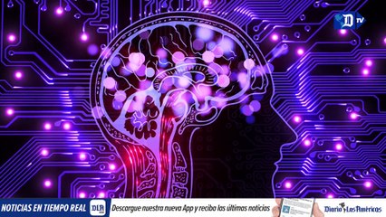 Detectan olores que mejoran la capacidad cognitiva y la memoria | La buena noticia