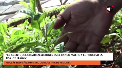 El programa crear destina fondos para créditos a industrias de todo el país
