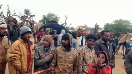 राजस्थान में पशु चिकित्सक नहीं, बल्कि अब यह करेंगे सत्यापन