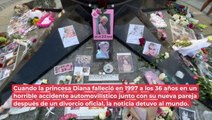 Las preguntas más incómodas hechas al encargado de autopsia de Lady Di