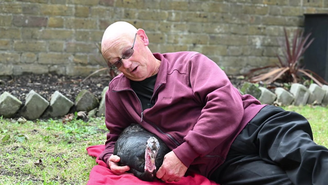 Watch: Man takes his pet turkey everywhere and she loves a visit to the pub and Tesco