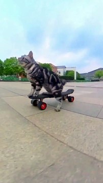 Videoo tv| Influence Lifestyle|Videoo tv Haberler.com| The Fame |Smile Wanted 90sport |VOICI L'Équipe Sports |Local Media |Influence News| Français Tele-Loisirs|fr Discovery footmercato Purepeople| Sureview tv|CNEWS| la chaine| L'Équipe |letribunaldunet |