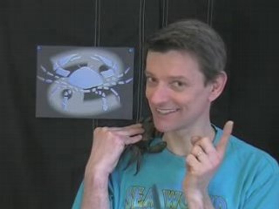 astrologie cancer petite caricature