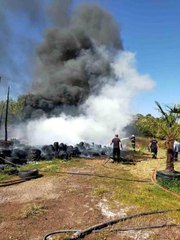 Yalova'da süs bitkileri serasında yangın çıktı