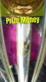 ICC Men's Cricket World Cup 2023 Prize Money