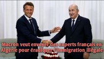Macron veut envoyer des experts français en Algérie pour éradiquer l’immigration illégale.