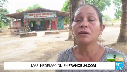 Incendios en Brasil por la ola de calor arrasan hectáreas de bosque