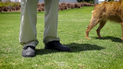 Vivir al Máximo | MEXAS